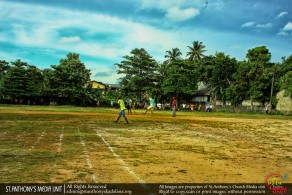 Cricket Match 2015 