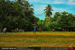 Cricket Match 2015 